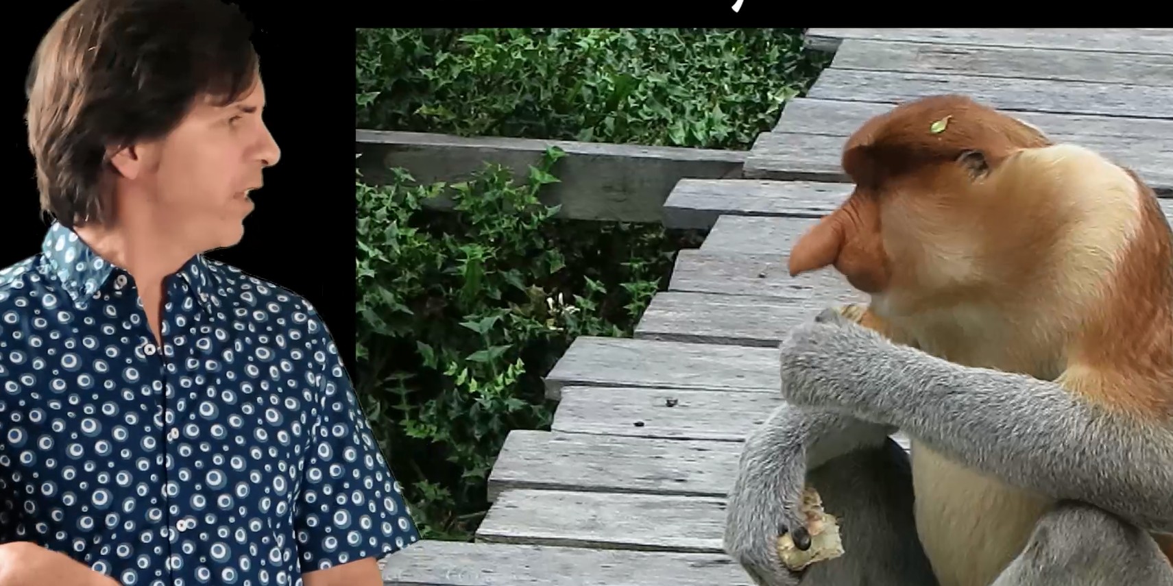 You are currently viewing What is Southeast Asia?