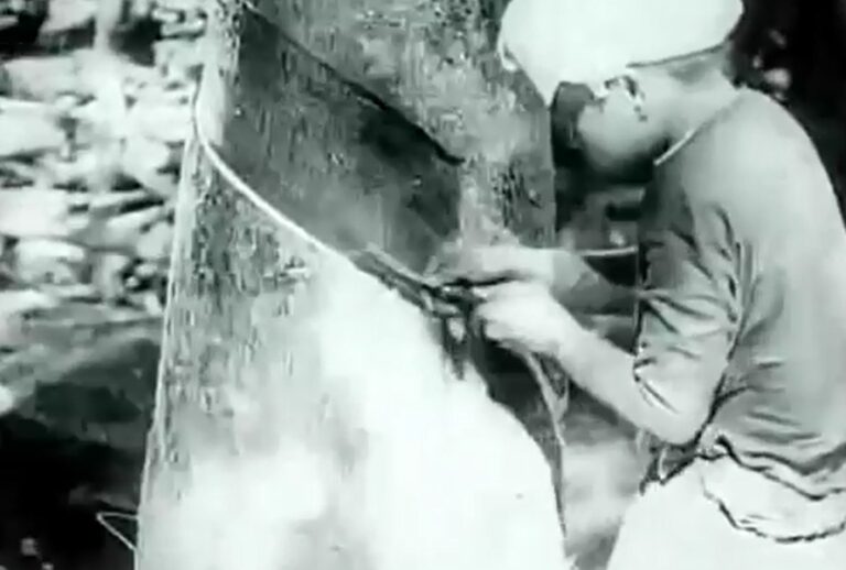 Read more about the article Artists and Historians: A Conversation with Nguyễn Phương Linh (Part 2)