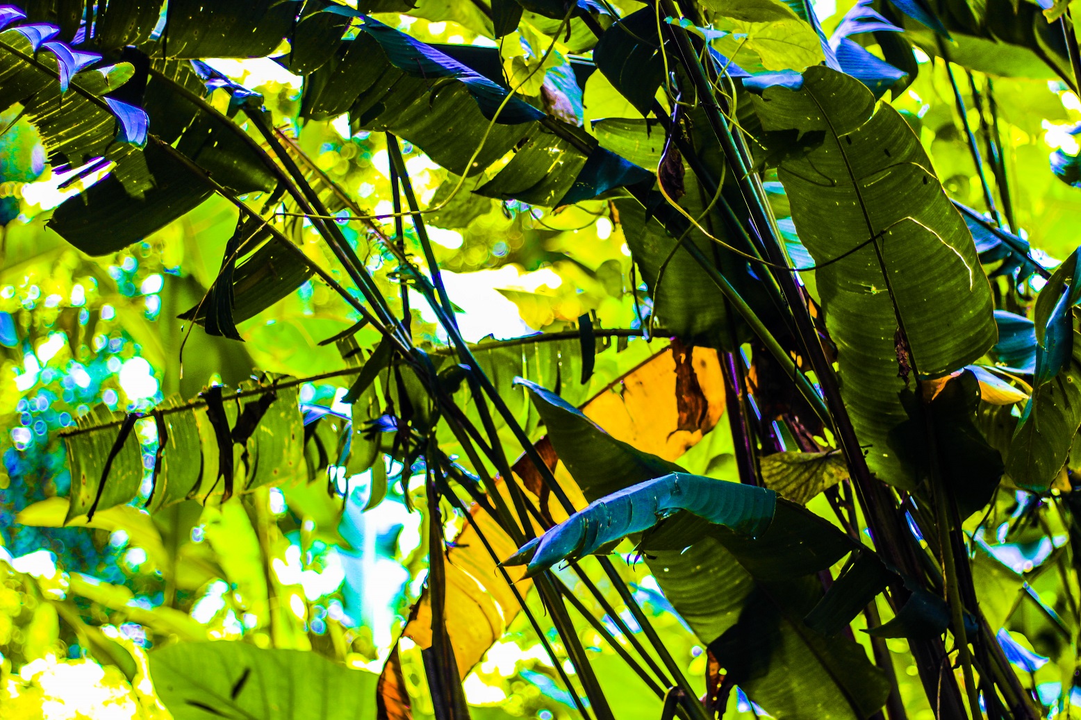 You are currently viewing Taking a Break