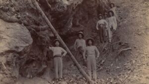 Read more about the article Using AI to Imagine Life at the Crocodile Pit in Early-Twentieth-Century Borneo