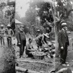 Infinitely Scrolling Through the Past